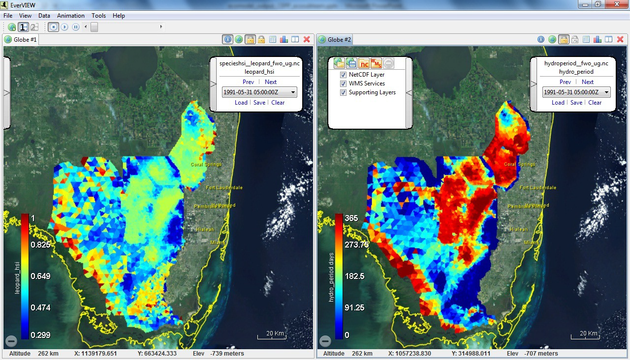 Leopard frog output map