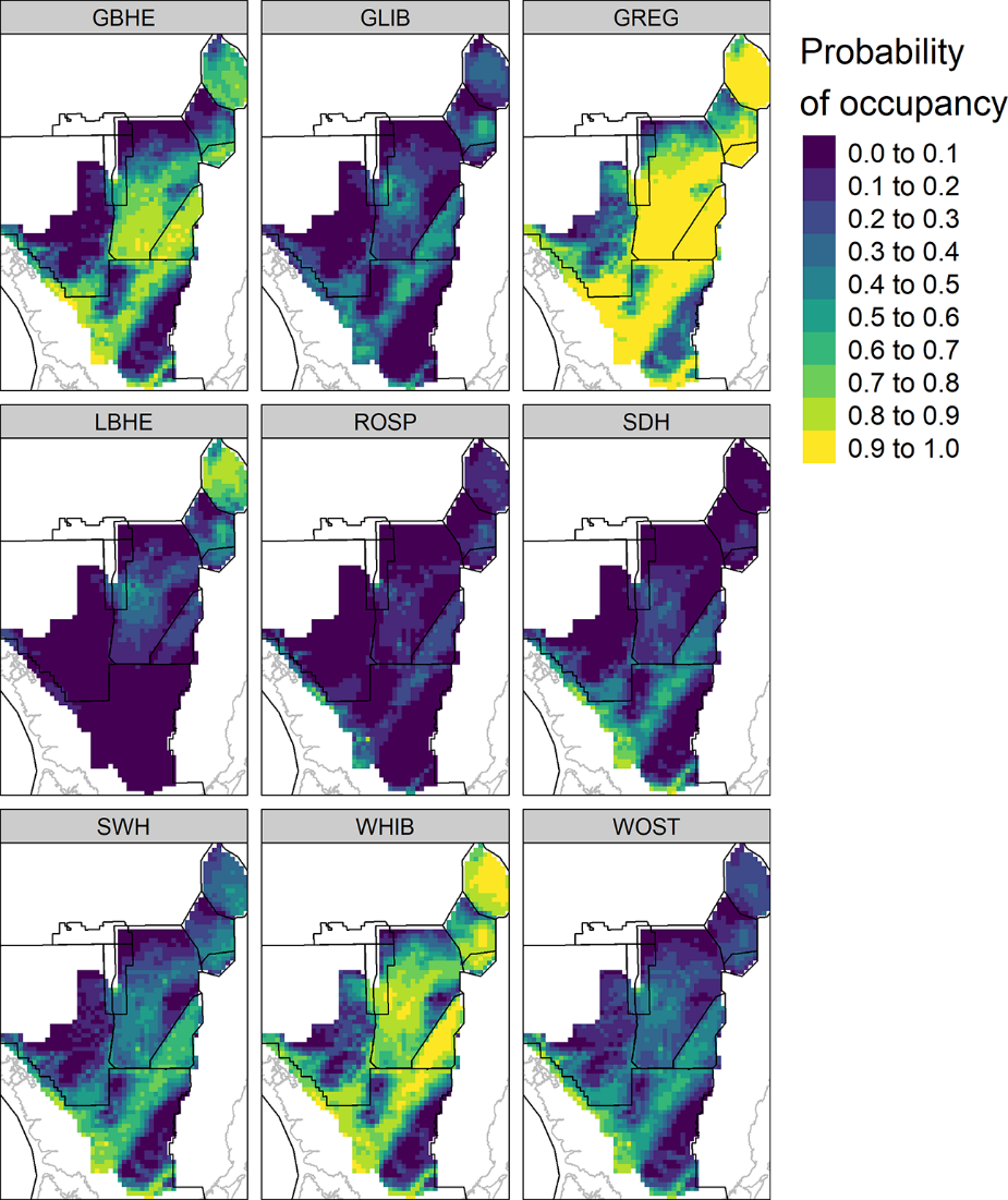 Wading bird output map